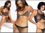 Catherine Bell Wallpapers